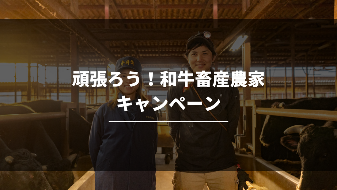 【平井牛】お得なキャンペーン終了まであと14日!人気商品を紹介