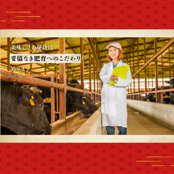 【数量限定】京都黒毛和牛「肉宝 平井牛」2026年福袋〈冷凍便〉