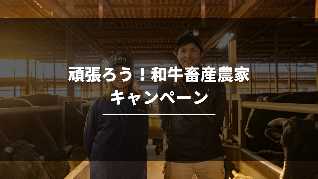 【平井牛】お得なキャンペーン終了まであと14日！人気商品を紹介